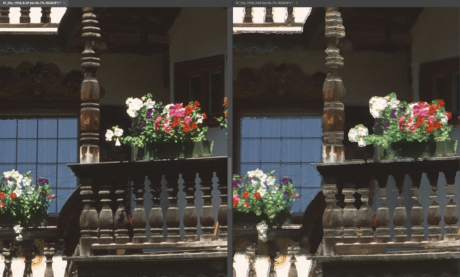 Kodachrome-Dia, iSRD bei korrekter Einstellung &quot;Kodachrome&quot; (links), rechts bei falscher Einstellung &quot;Positiv&quot;.