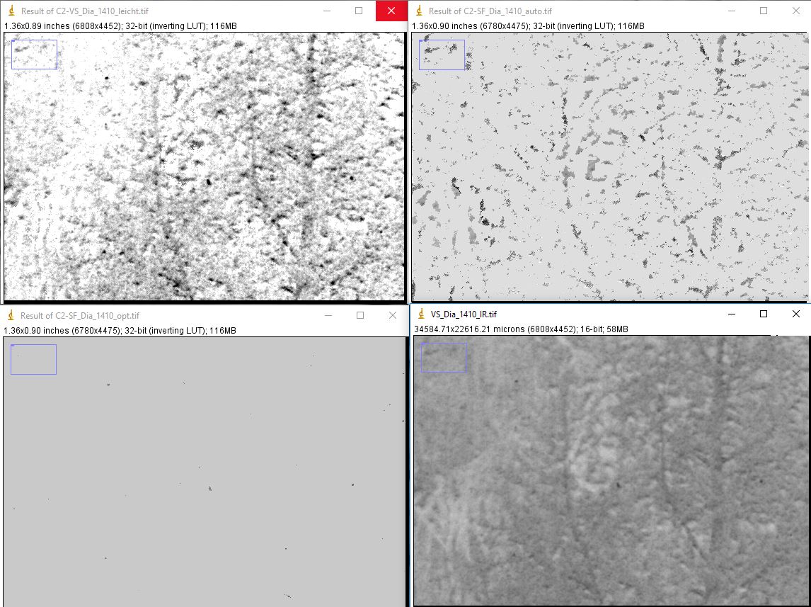 VueScan (oben links), SilverFast auto (oben rechts), SilverFast optimiert (unten links), IR-Kanal (unten rechts)