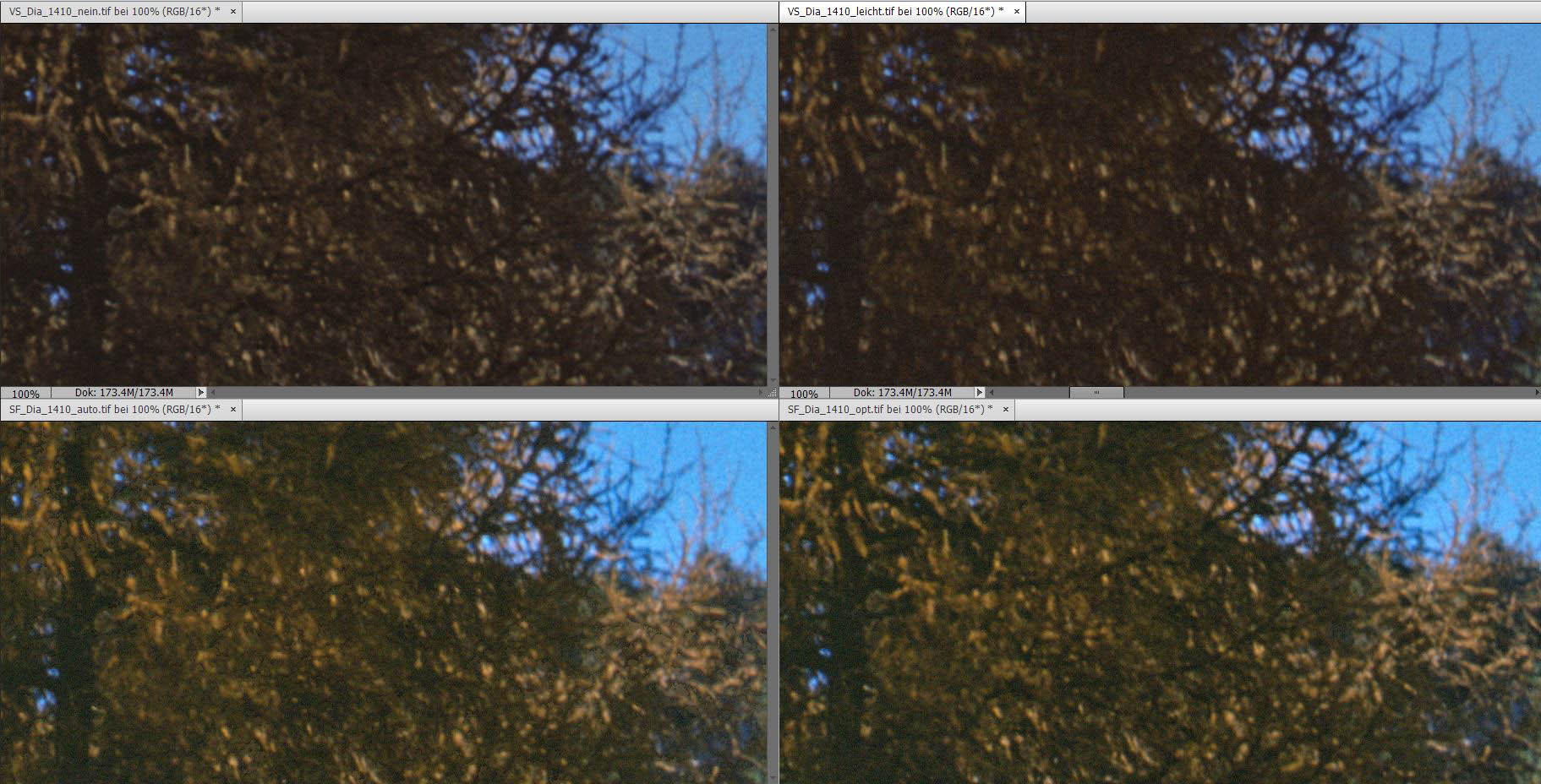 VS ohne Korrektur (oben links), VS Korrektur leicht (oben rechts), SF Einstellung Auto (unten links), SF optimiert (unten rechts).