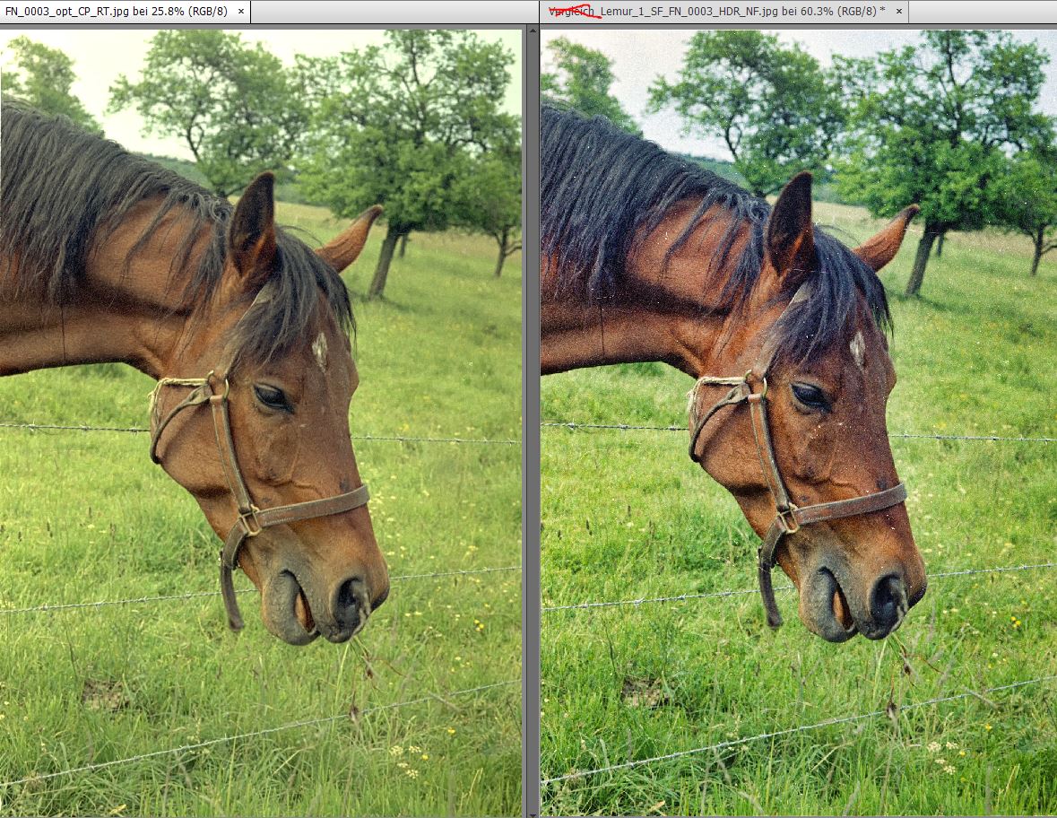 links: fertig bearbeitet, rechts: PhotoLemur-bearbeitet