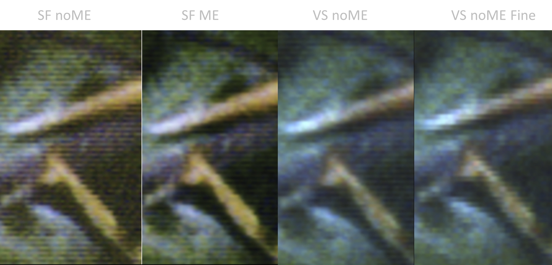 SF=Silverfast, VS=VueScan, noME=kein Multiple Exposure, ME=mit Multiple Exposure, Fine=Fine Scan im VS.