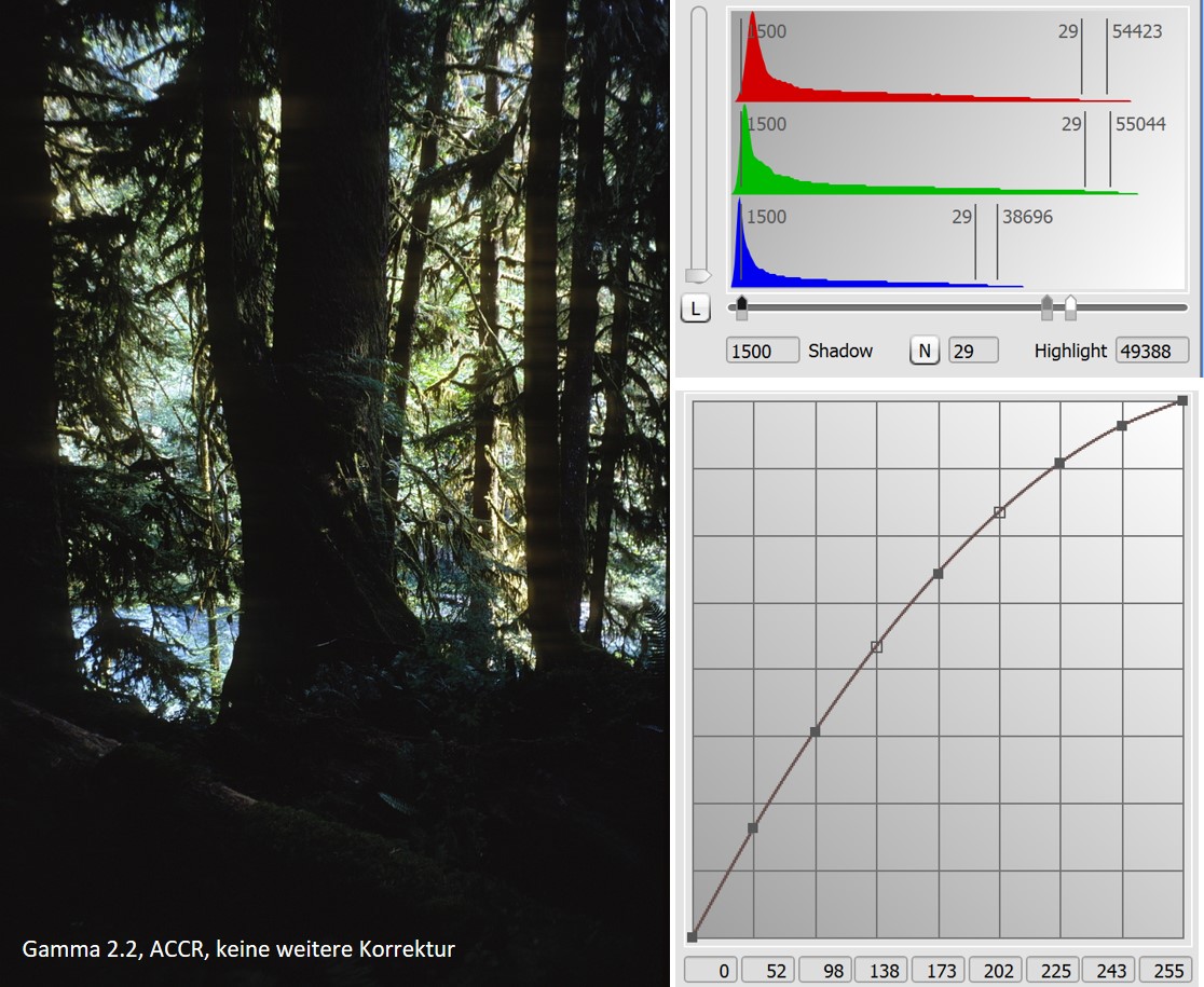Links: Bild ohne Helligkeitskorrektur. Rechts oben das Histogramm, rechts unten die Gradationskurve.