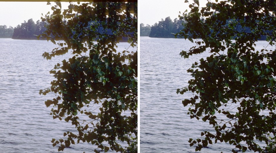 Ausschnitt aus einem unterbelichteten Bild, welches durch digitale Aufhellung bearbeitet wurde. Links: mit unverspiegeltem CCD. Die Überstrahlung in den Blättern ist störend. Rechts: mit entspiegeltem CCD – die Kontraste sind jetzt knackig.